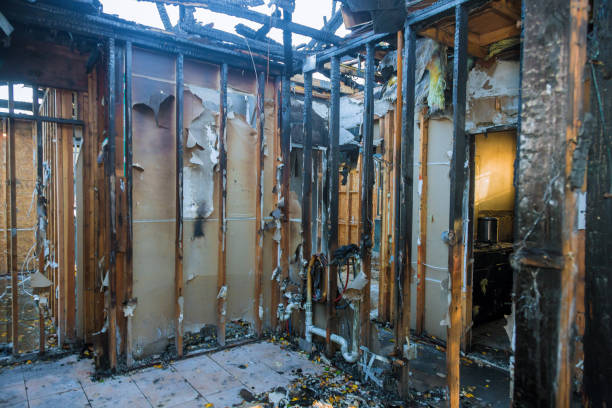 Professional Fire Damage Repair technician working in Butler, GA